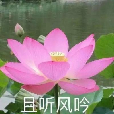 圣邦股份(300661)：稳健增长